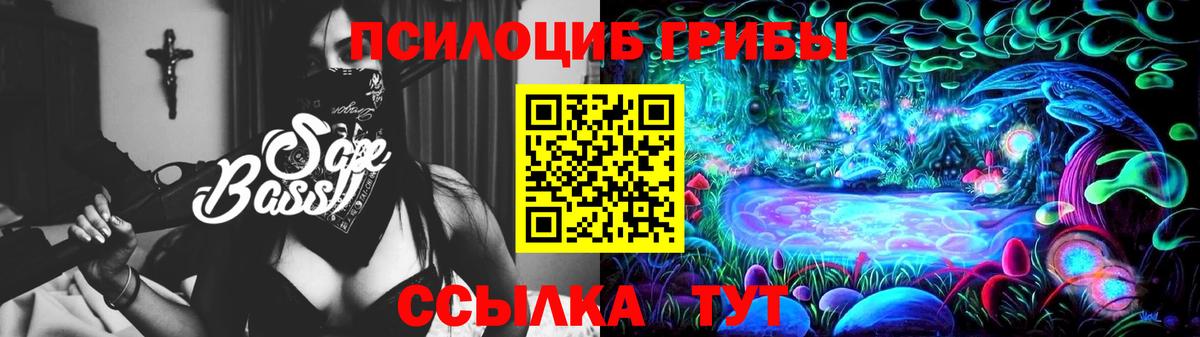 Норильск  Псилоцибиновые грибы мухоморы  продажа наркотиков  Псилоцибиновые грибы Cubensis  Вход с VPN 